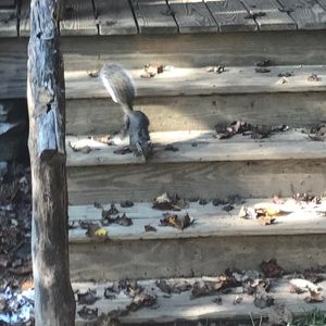 Meet your Posher, Wendy